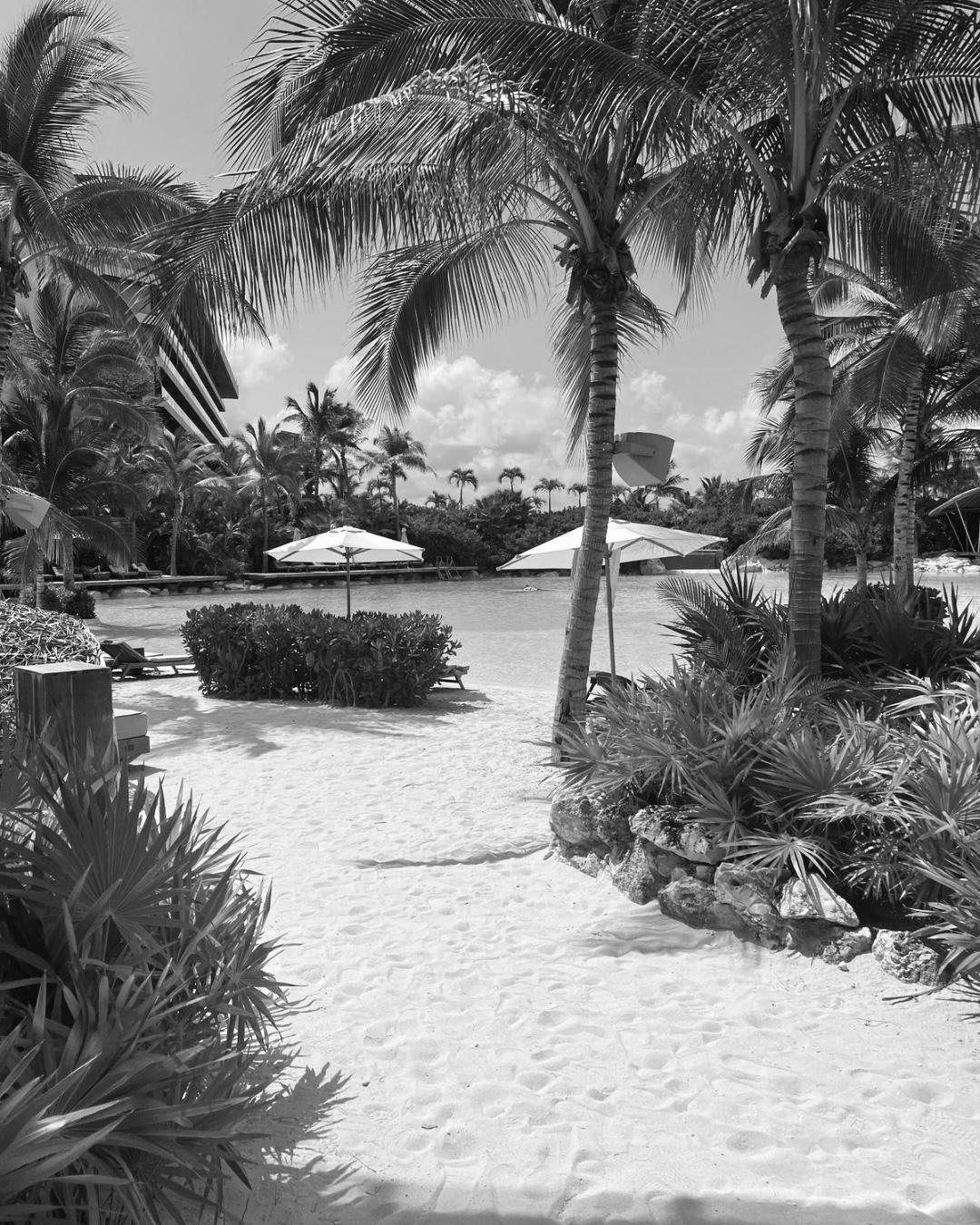 Paisaje de playa en blanco y negro para contar sobre la historia de Saltymoon